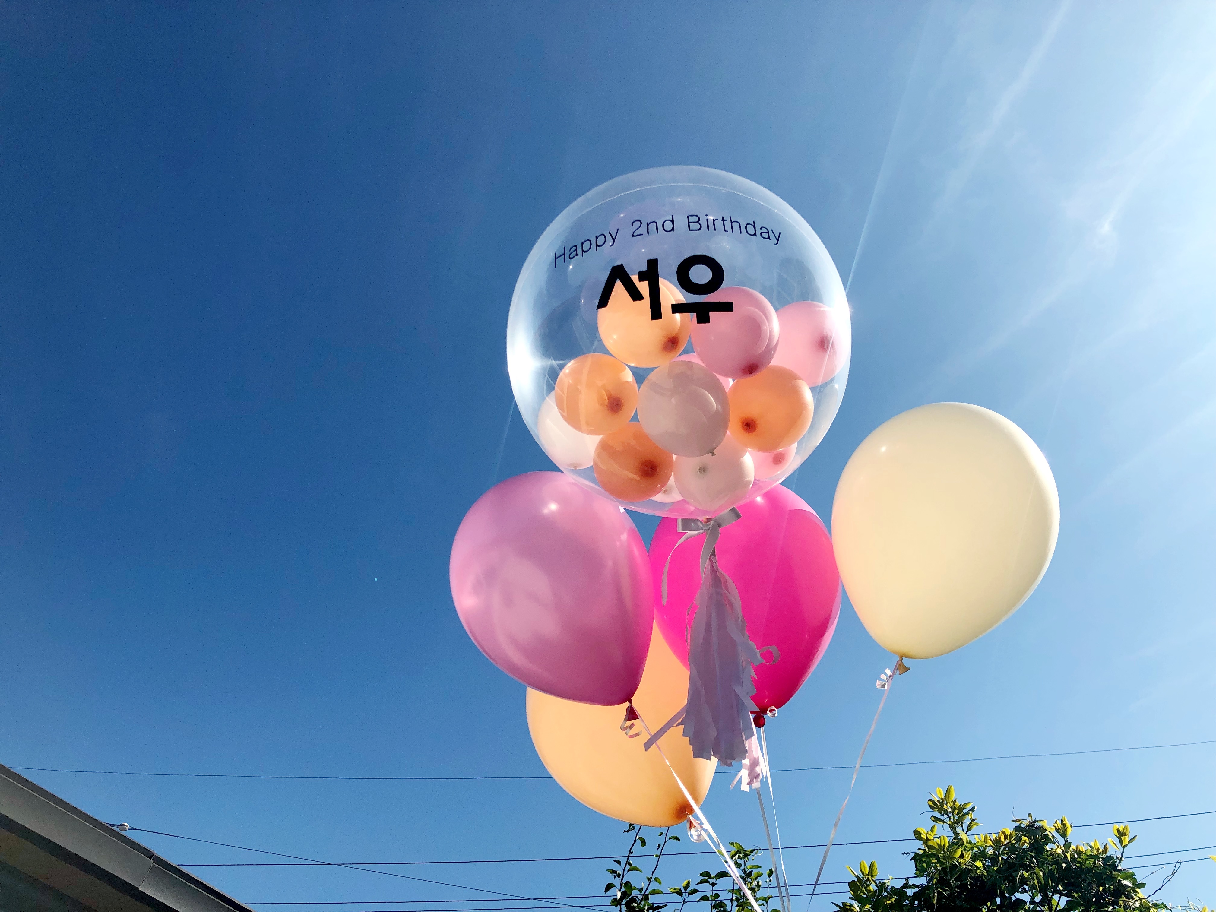 테스트이미지