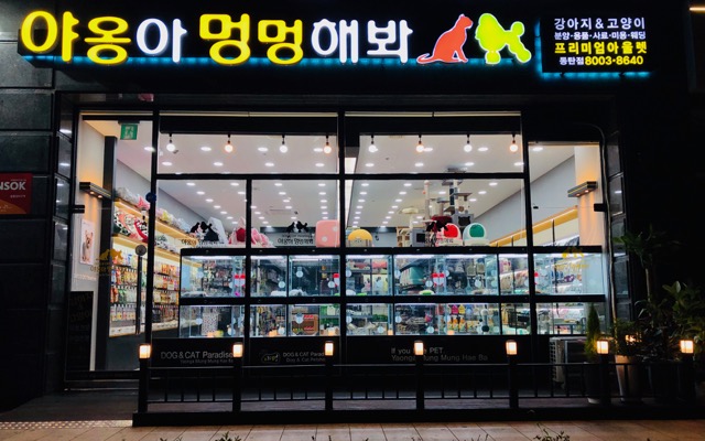 테스트이미지