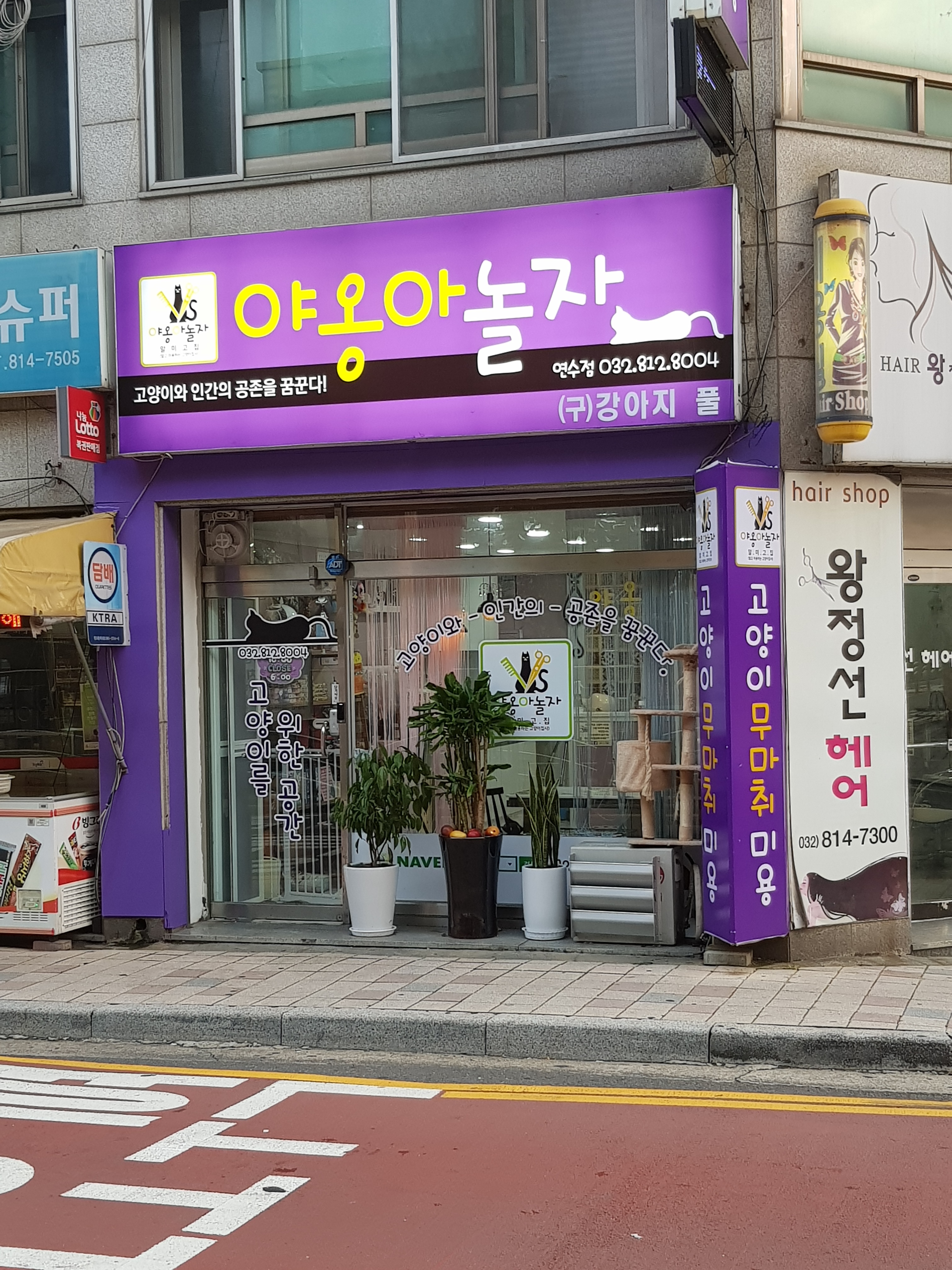 테스트이미지