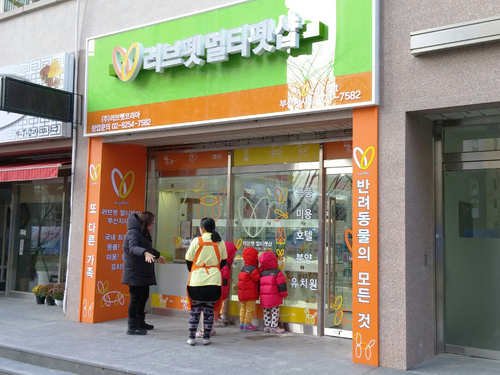 테스트이미지