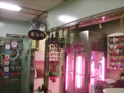 테스트이미지