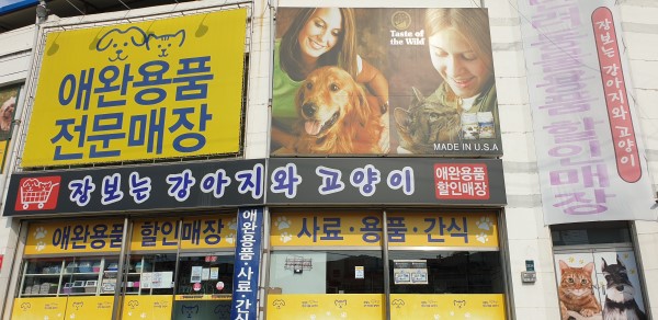 테스트이미지