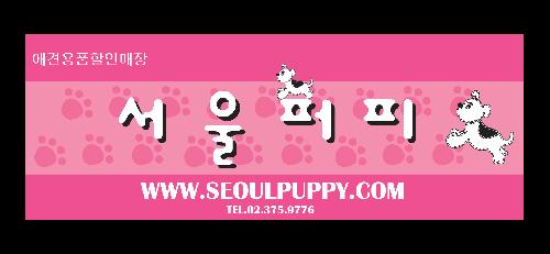 신규리스트 이미지